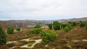 Drakamöllans naturreservat är magiskt vackert.